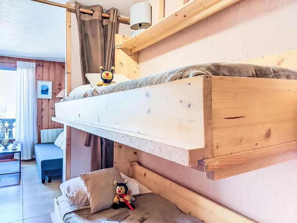 Résidence Pointe des aravis B13