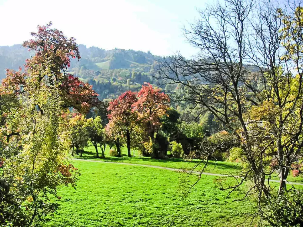Résidence les Huskies
