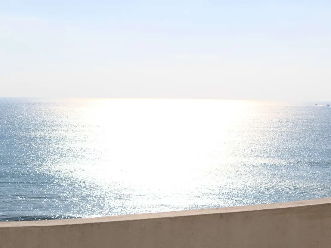 Location de Vacances Saint-Gilles-Croix-de-Vie 430