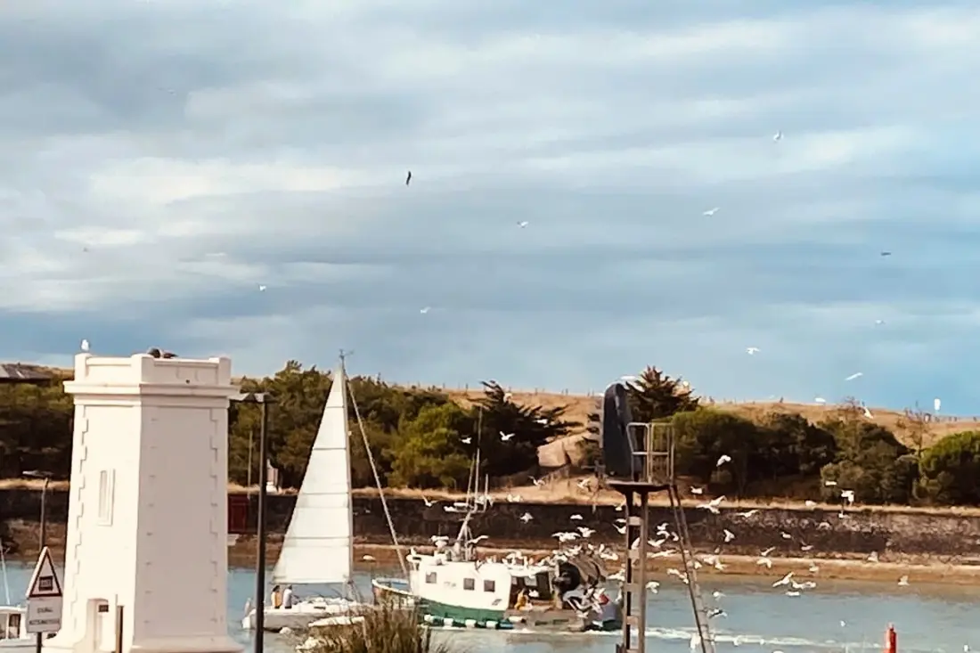Résidence Casa Yemenja, Face Mer Et Port