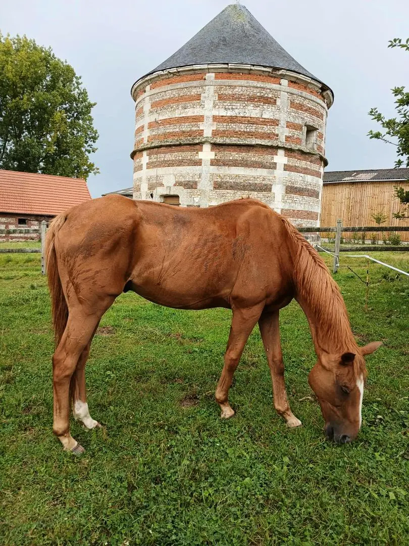 Gîte de France Gîtes de france® - gîte de blévillot 2 épis