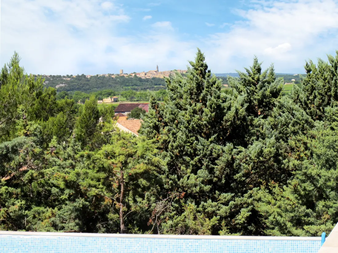 Maison de Vacances Saint Hilaire-d'Ozilhan