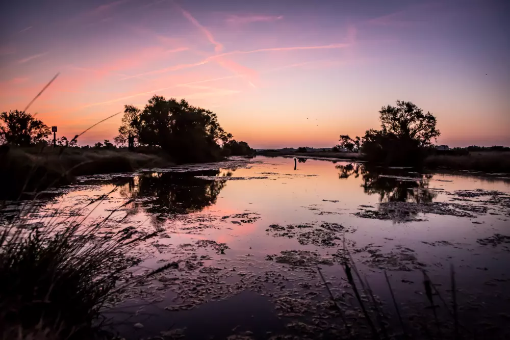 Appartements à Saint-Hilaire-de-Riez