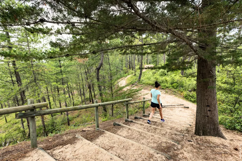 Appartements à Saint-Hilaire-de-Riez