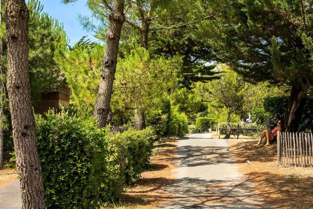 Camping de la Plage de Riez 3 étoiles★★★