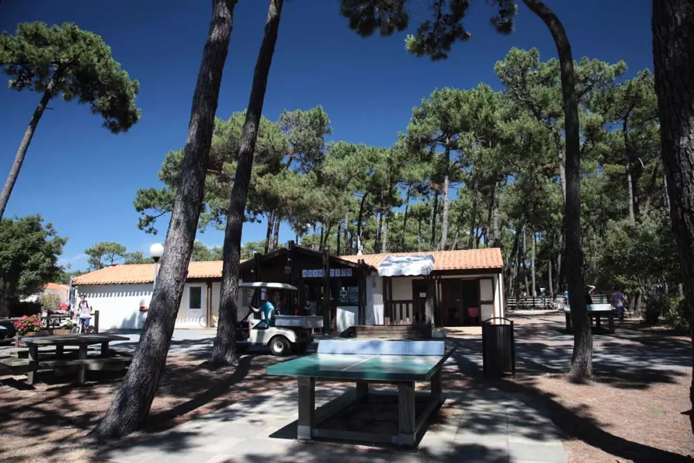 Camping de la Plage de Riez 3 étoiles★★★