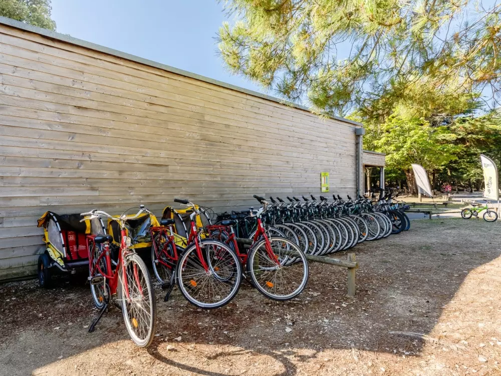 Camping Demoiselles Plage 3 étoiles★★★