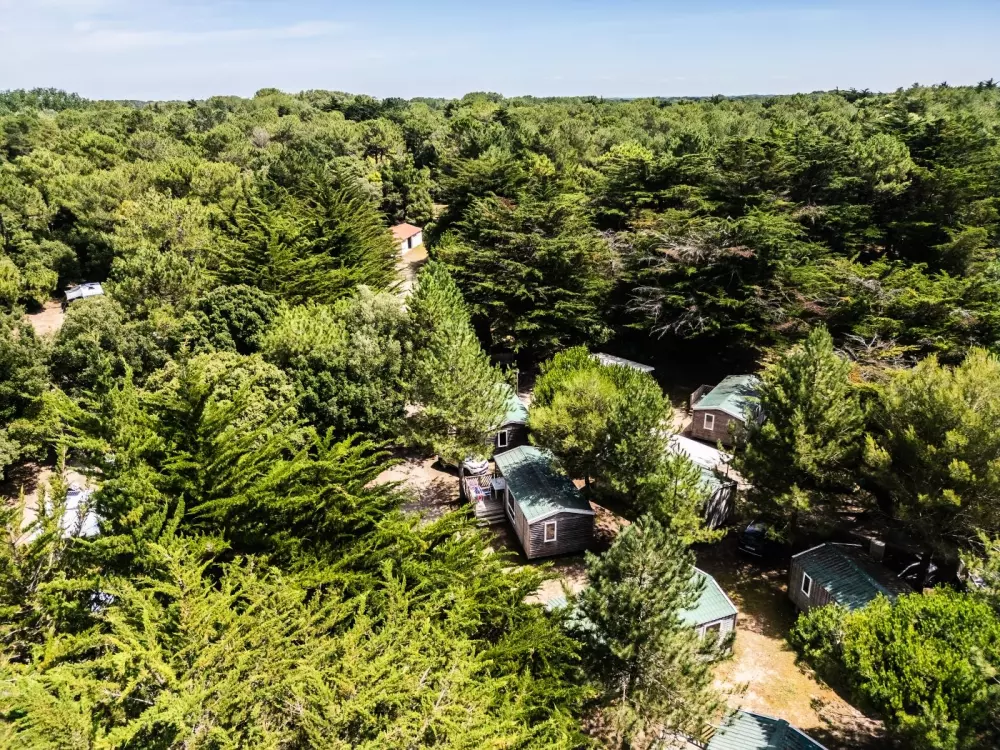 Camping Demoiselles Plage 3 étoiles★★★