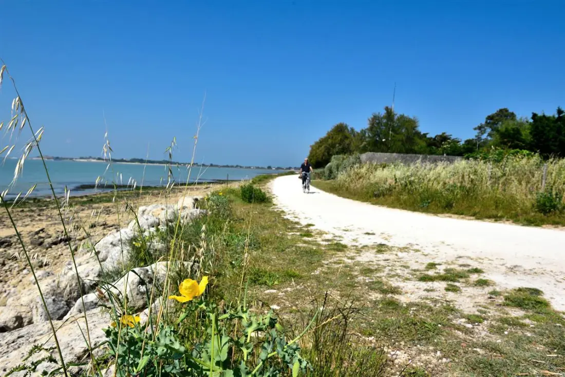 Camping la Marzelle3 étoiles★★★