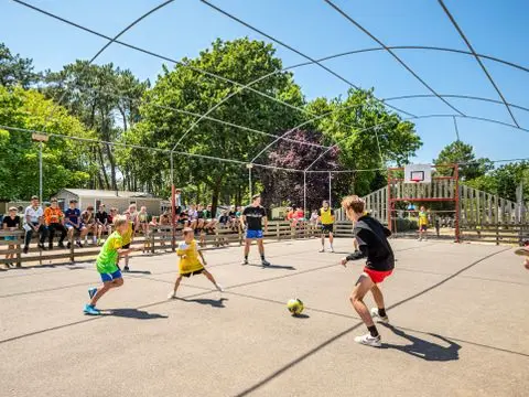 Flower Camping Au Bois Des Biches 4 étoiles★★★★