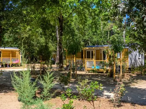 Flower Camping Au Bois Des Biches 4 étoiles★★★★
