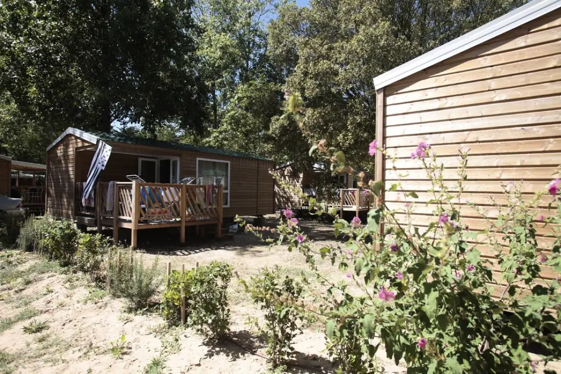 Camping Odalys des Demoiselles3 étoiles★★★