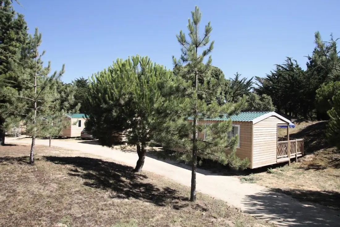 Camping Odalys des Demoiselles3 étoiles★★★
