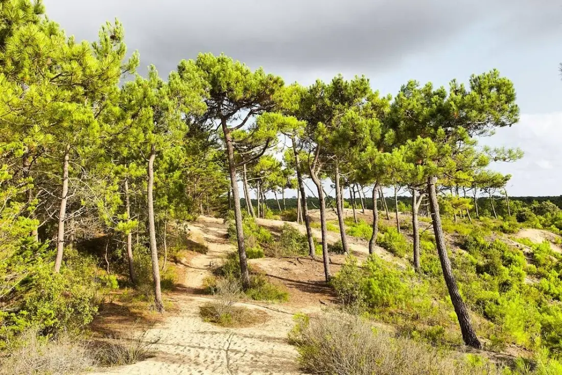 Camping Ushuaïa Villages La Conge 3 étoiles★★★