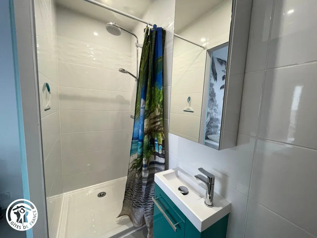 Maison de Vacances Saint-Hilaire-de-Riez 561