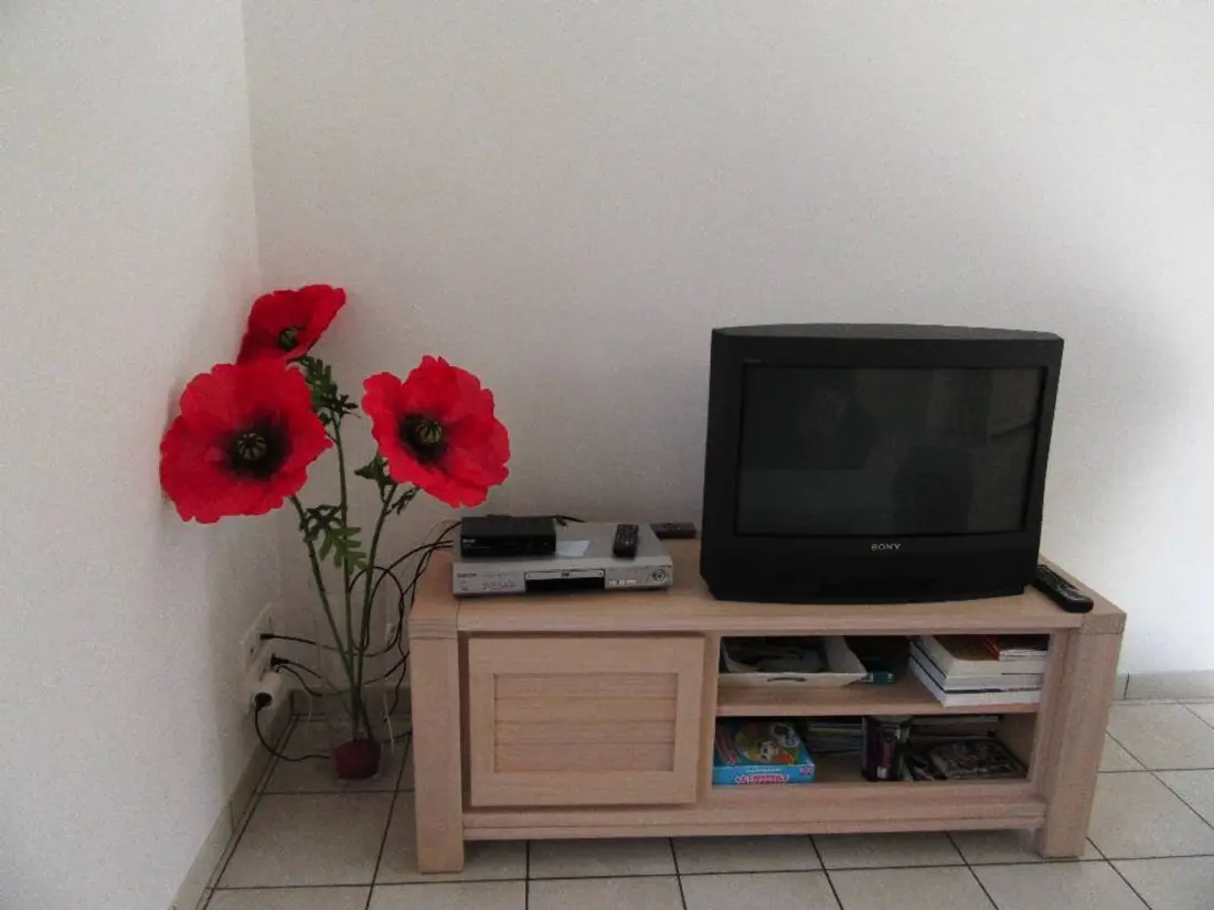 Maison de Vacances Saint-Hilaire-de-Riez 629