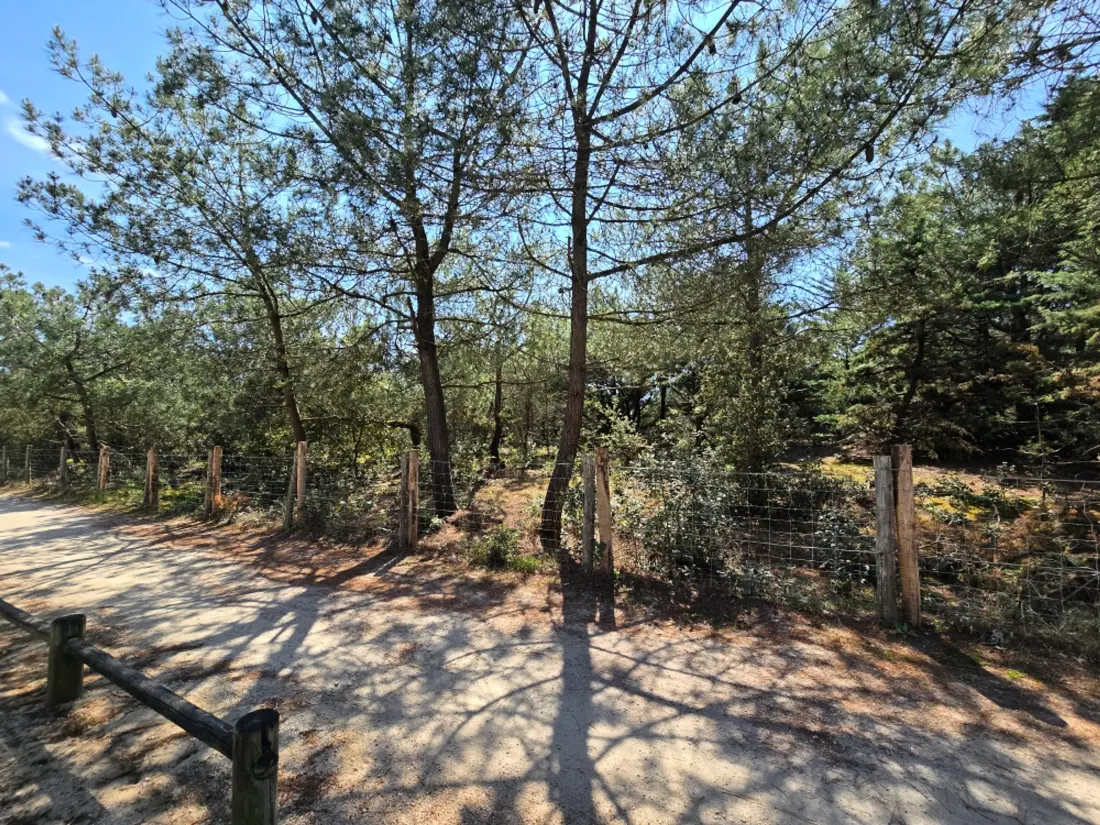Maison de Vacances Saint-Hilaire-de-Riez 721