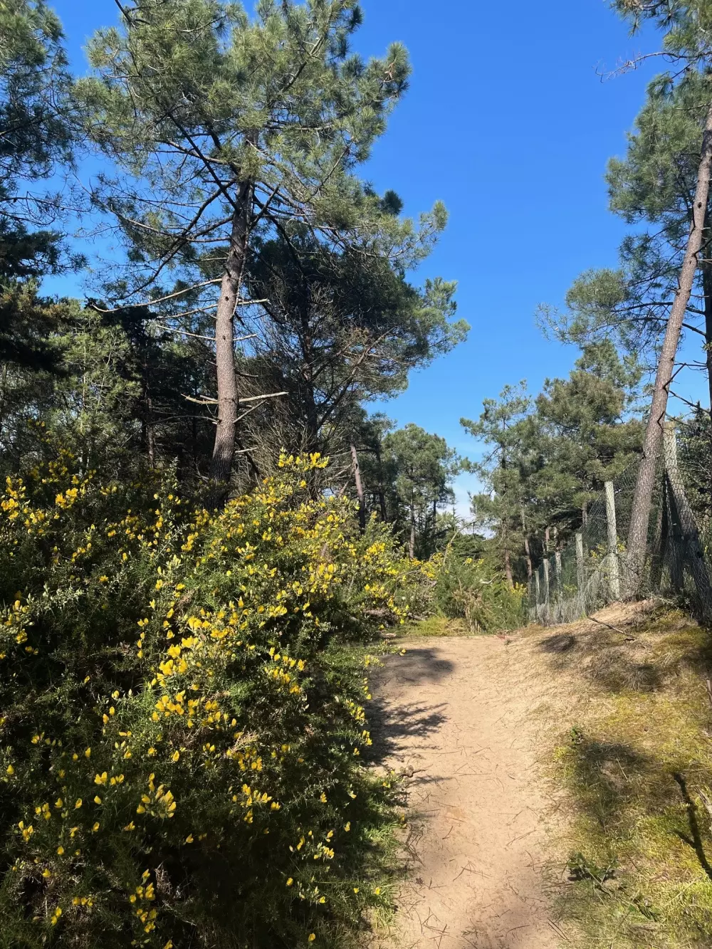 Ushuaïa Villages - Camping la Conge 3 étoiles★★★