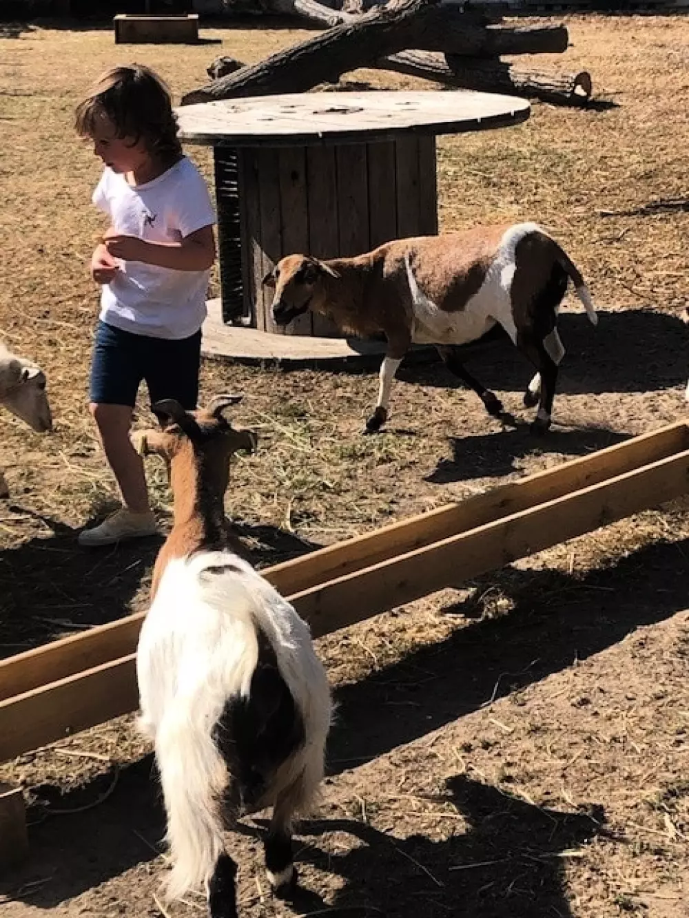 Ushuaïa Villages - Camping la Conge 3 étoiles★★★