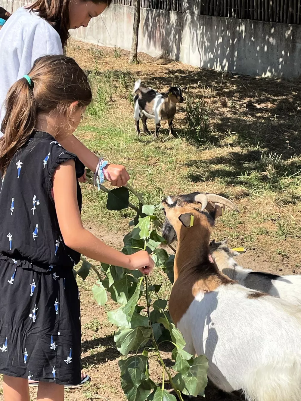 Ushuaïa Villages - Camping la Conge 3 étoiles★★★