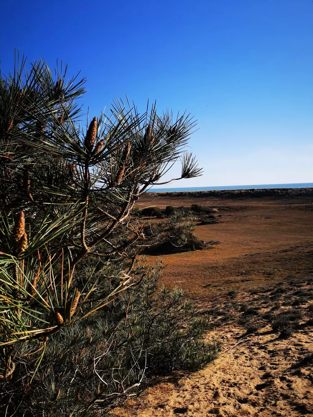 Ushuaïa Villages - Camping la Conge 3 étoiles★★★