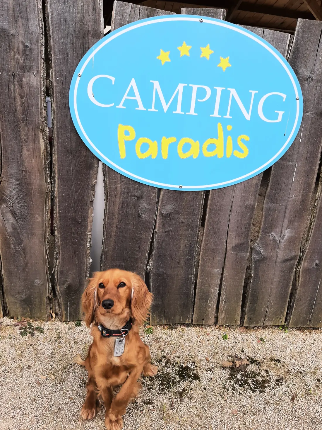 Camping Paradis la Grand'Métairie 4 étoiles★★★★
