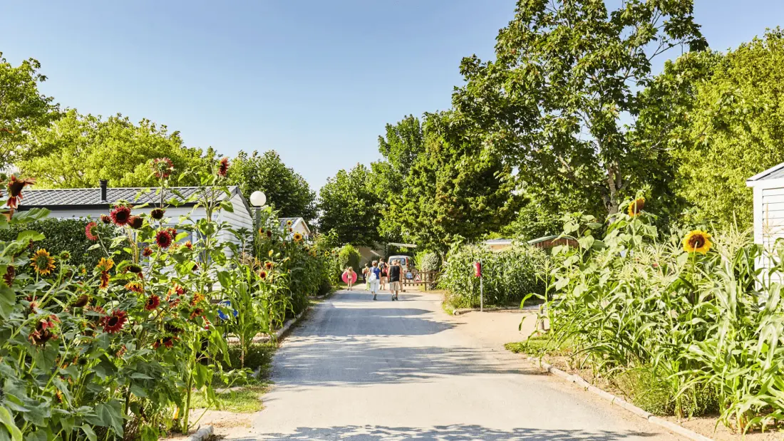 Camping Paradis La Grand'Métairie 4 étoiles★★★★