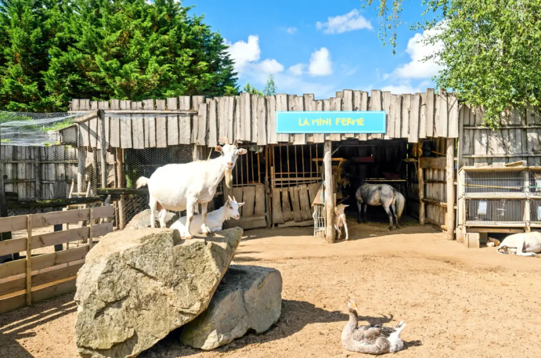 Camping Paradis la Grand'Métairie 4 étoiles★★★★