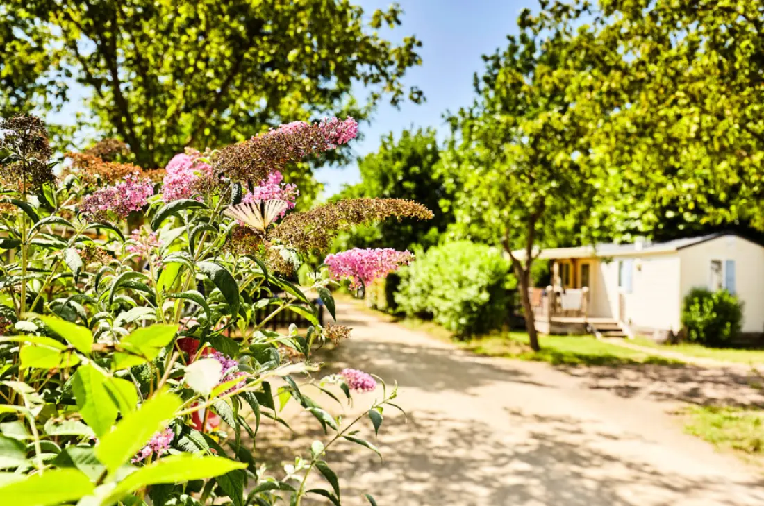 Camping Paradis la Grand'Métairie 4 étoiles★★★★