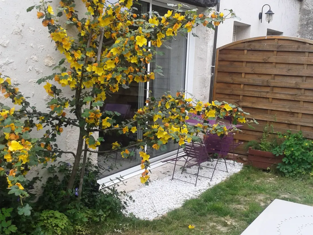 Maison de Vacances Saint-Hilaire-Saint-Mesmin 3