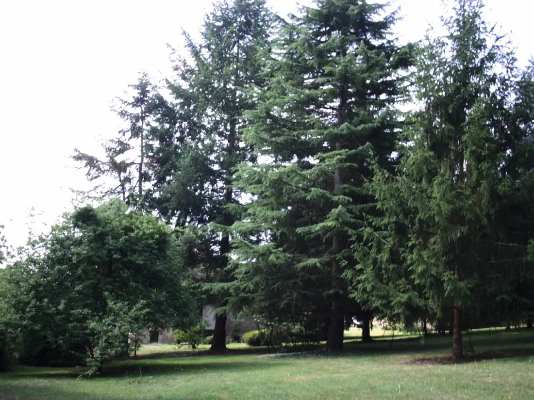Maison de Vacances Saint-Hilaire-sur-Benaize 4