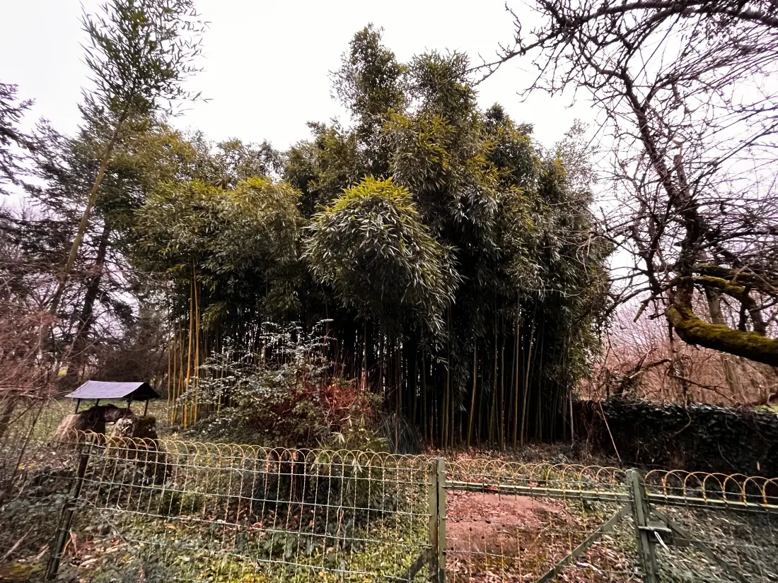 Maison de Vacances Saint-Hilaire-sur-Benaize 4