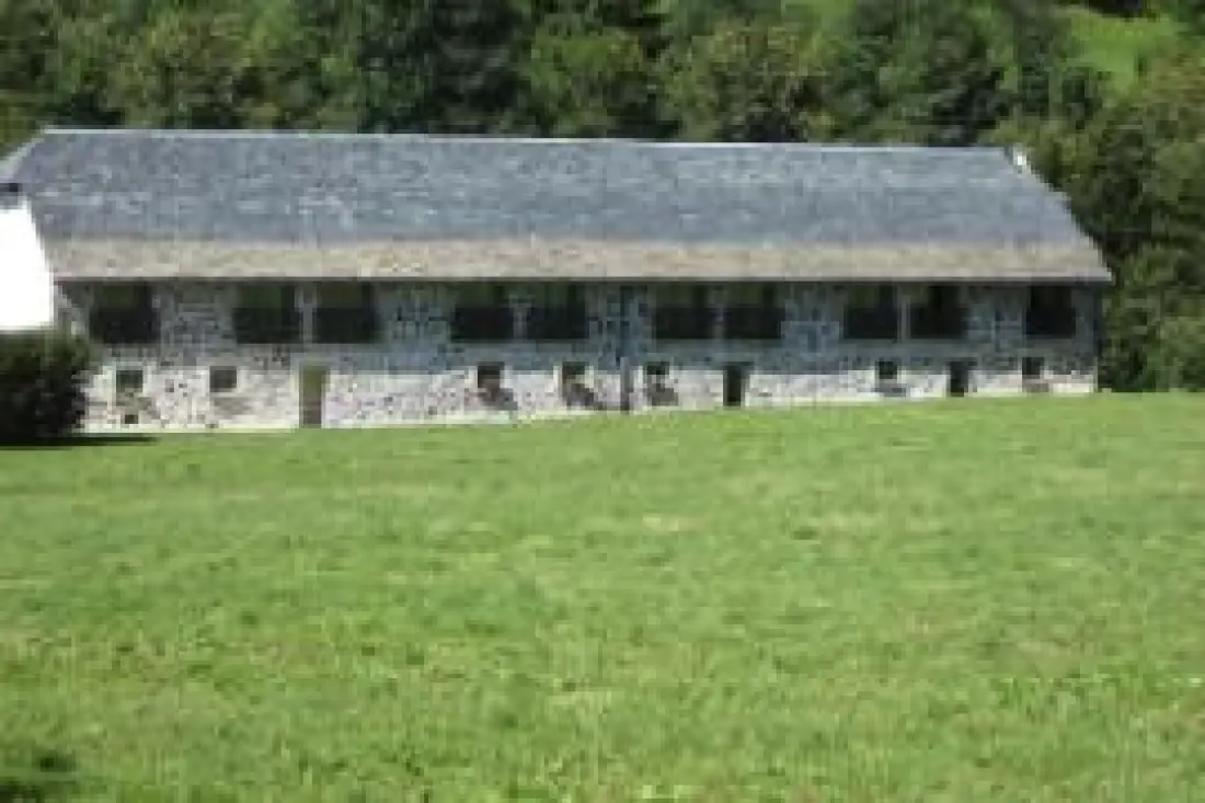 Gîte à Saint Jacques Des Blats  6