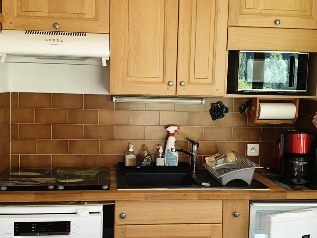Location de Vacances Saint-Jean-d'Aulps 17