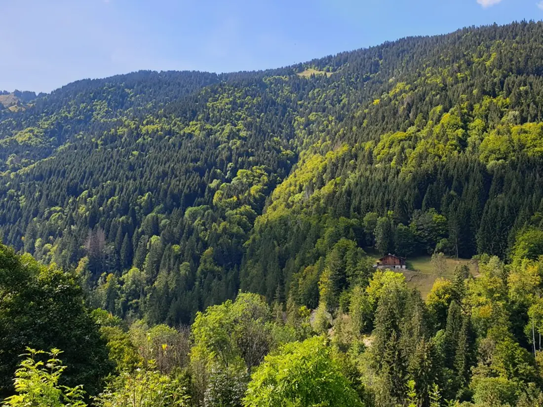 Location de Vacances Saint-Jean-d'Aulps 17