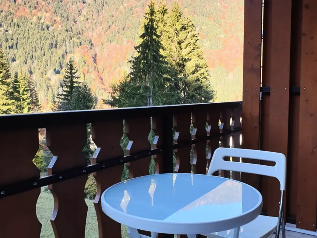 Location de Vacances Saint-Jean-d'Aulps 19