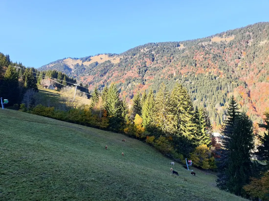 Location de Vacances Saint-Jean-d'Aulps 19