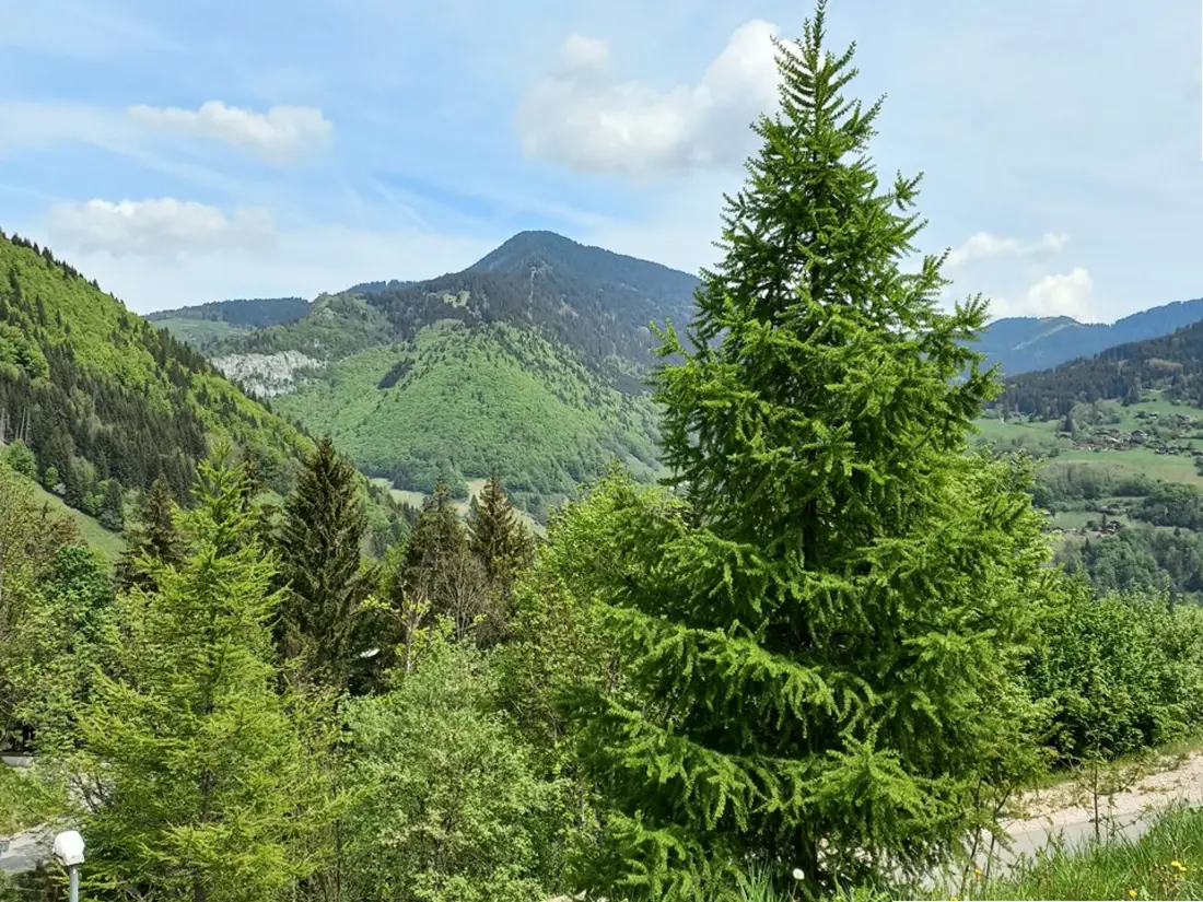 Location de Vacances Saint-Jean-d'Aulps 29