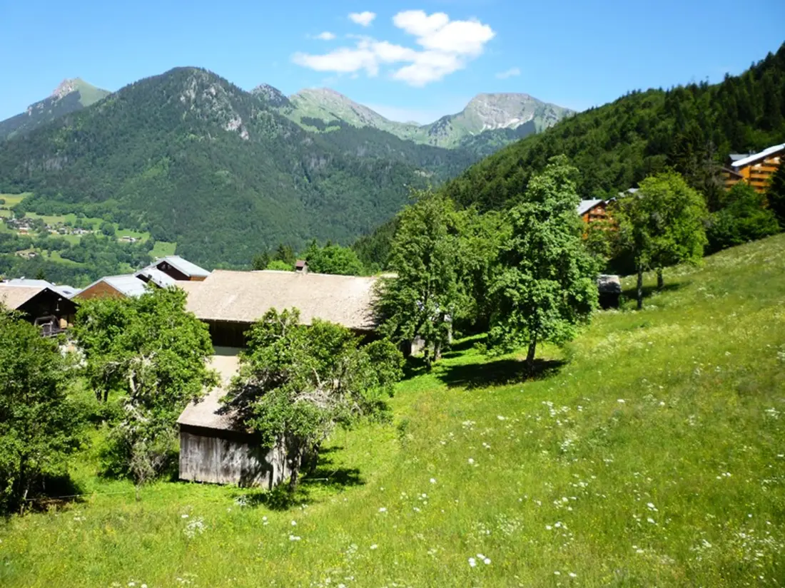 Location de Vacances Saint-Jean-d'Aulps 38