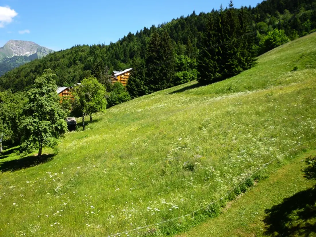 Location de Vacances Saint-Jean-d'Aulps 38