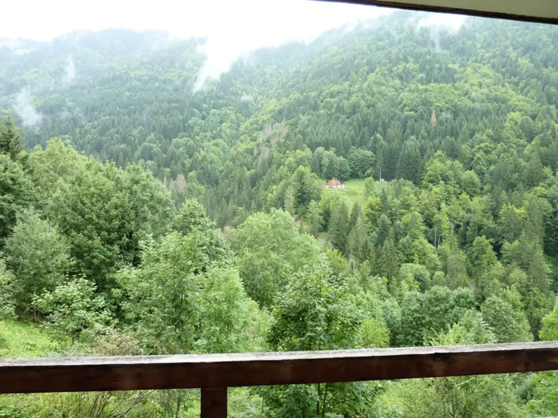 Location de Vacances Saint-Jean-d'Aulps 41