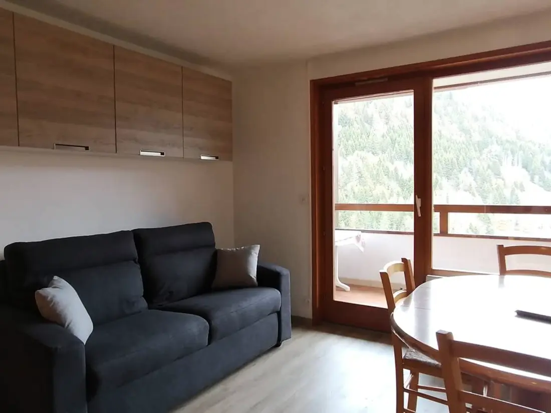 Location de Vacances Saint-Jean-d'Aulps 44