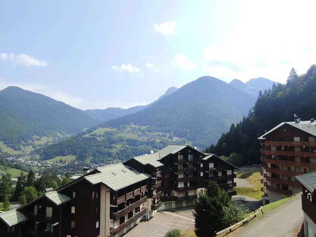 Location de Vacances Saint-Jean-d'Aulps 45