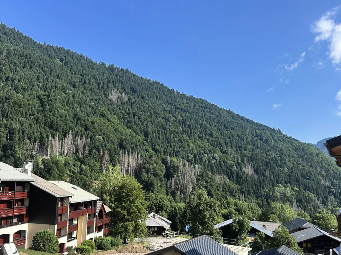 Location de Vacances Saint-Jean-d'Aulps 80