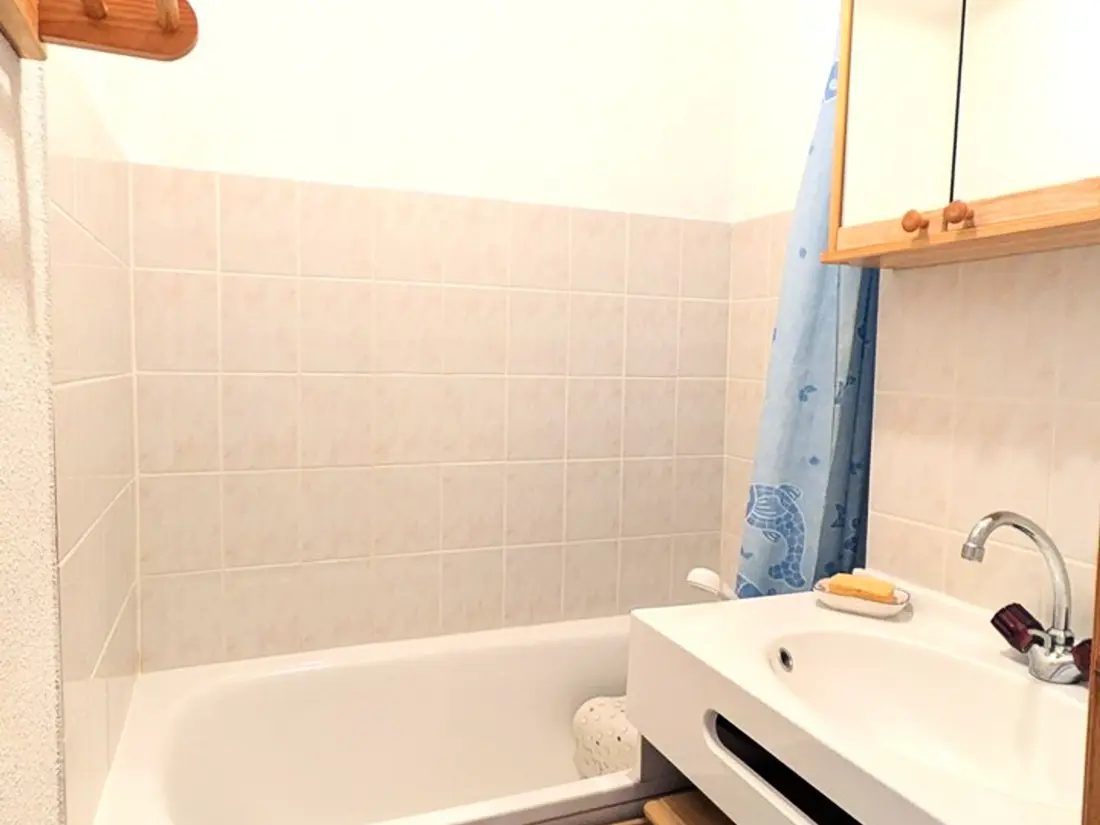 Location de Vacances Saint-Jean-d'Aulps 88