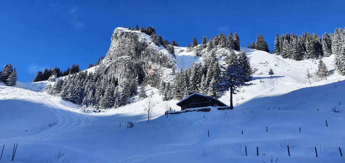 Appartements à Saint Jean d'Aulps