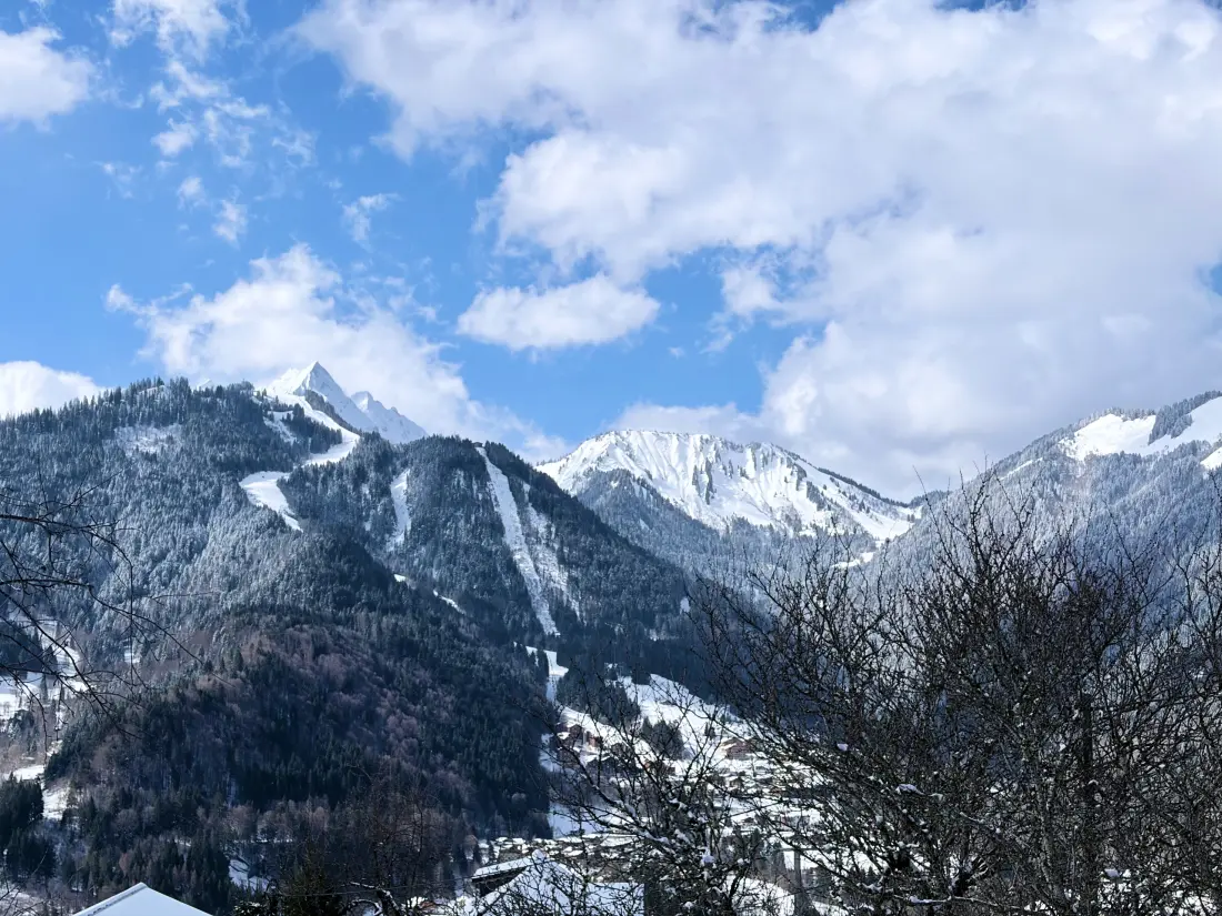 Chalets à Saint Jean d'Aulps