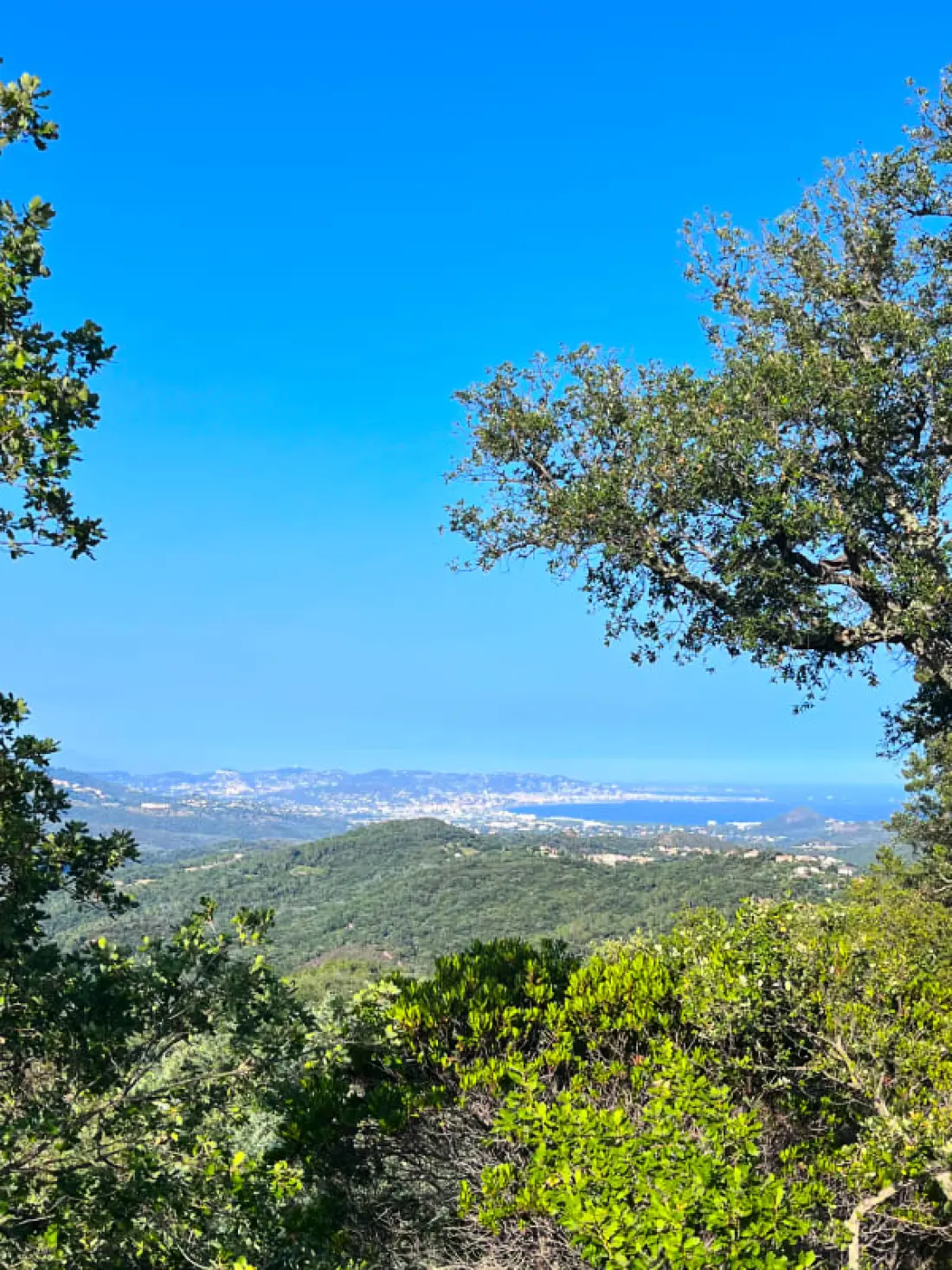 Double Villa Familiale 12 Pers, Piscine - Cannes