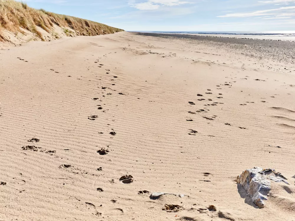 Maison de Vacances Saint Jean de la RiviÃ¨re