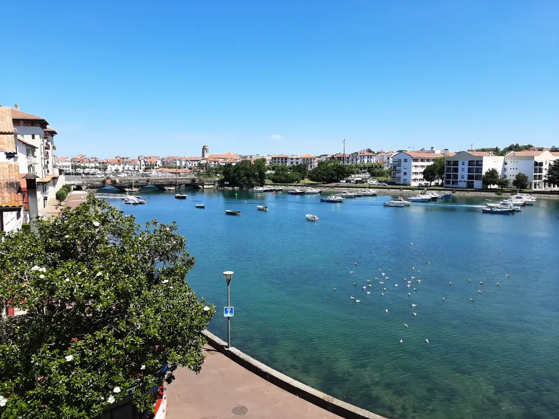Location de Vacances Ciboure 231